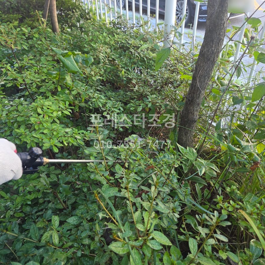 김포 화단 관목 송충이 방역