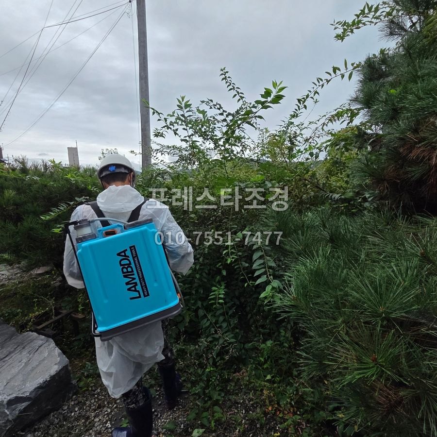 광주 정원수 송충이 방역