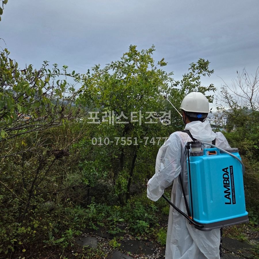 광주 보호복 입고 나무방역