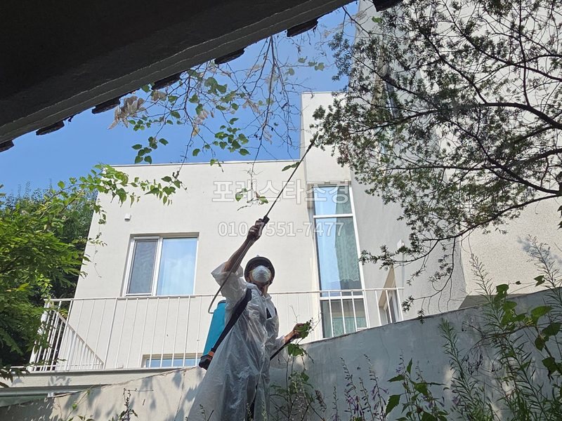 서울 용산 주택 마당 방역