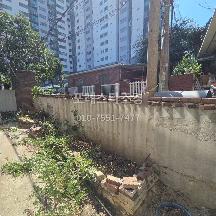 화성 벌목 후 정리된 담장 옆 마당
