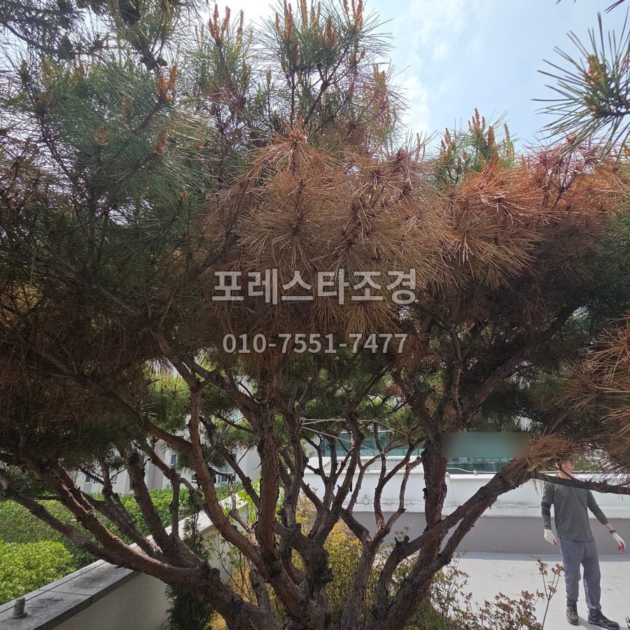 안성 작업 전 답답한 반송