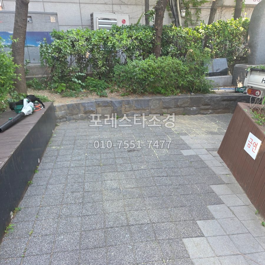 서울 가지치기 후 깨끗해진 화단