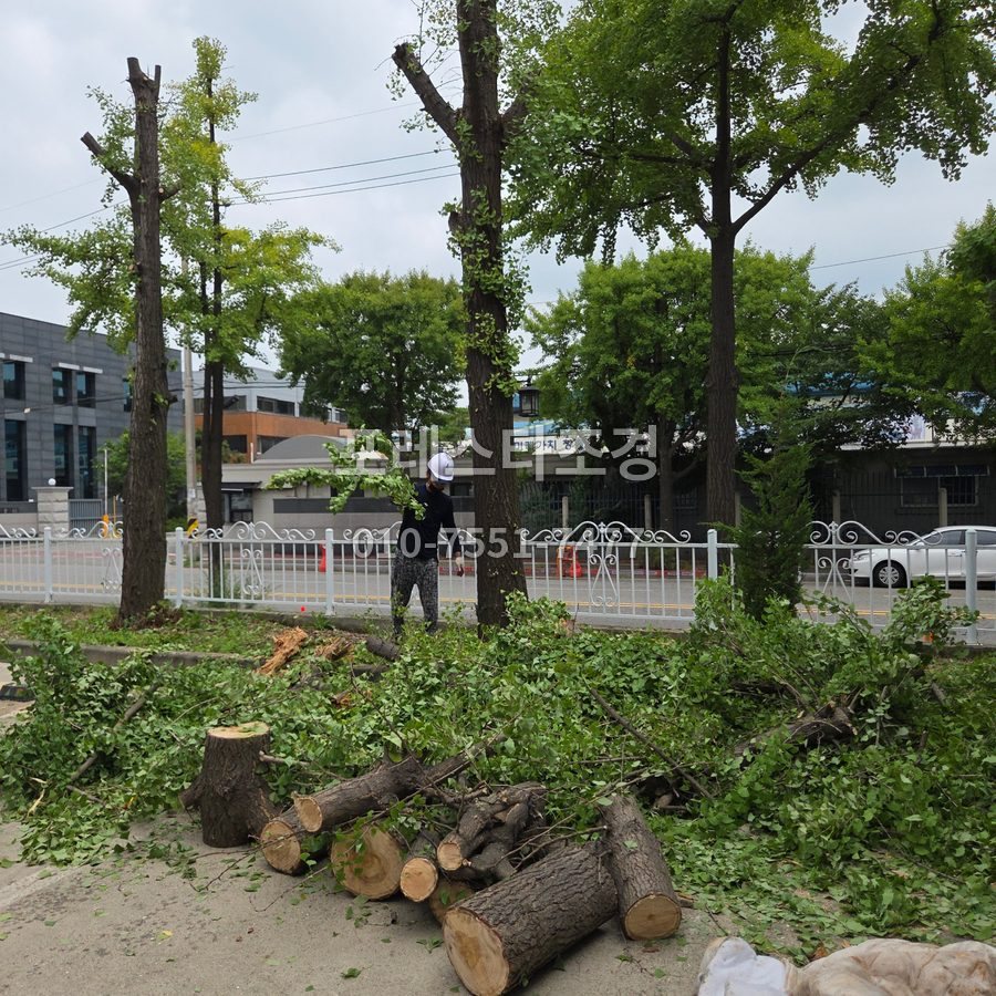 용인 잘라낸 줄기 정리