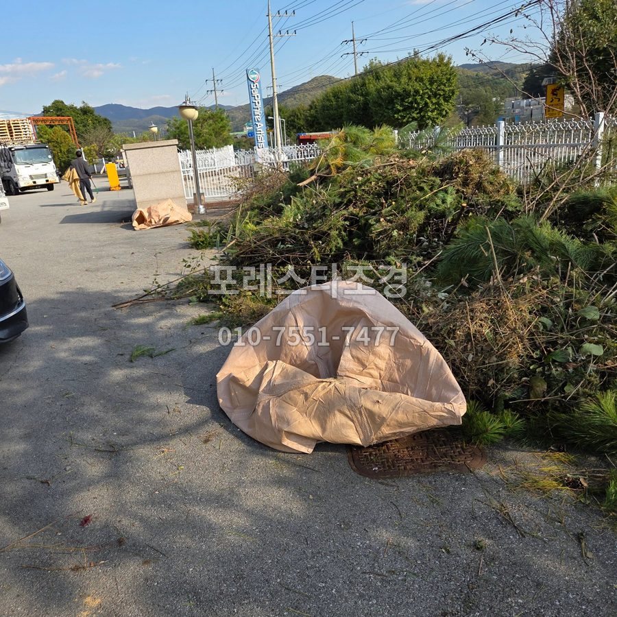 안산 잘라낸 가지 마대 수거