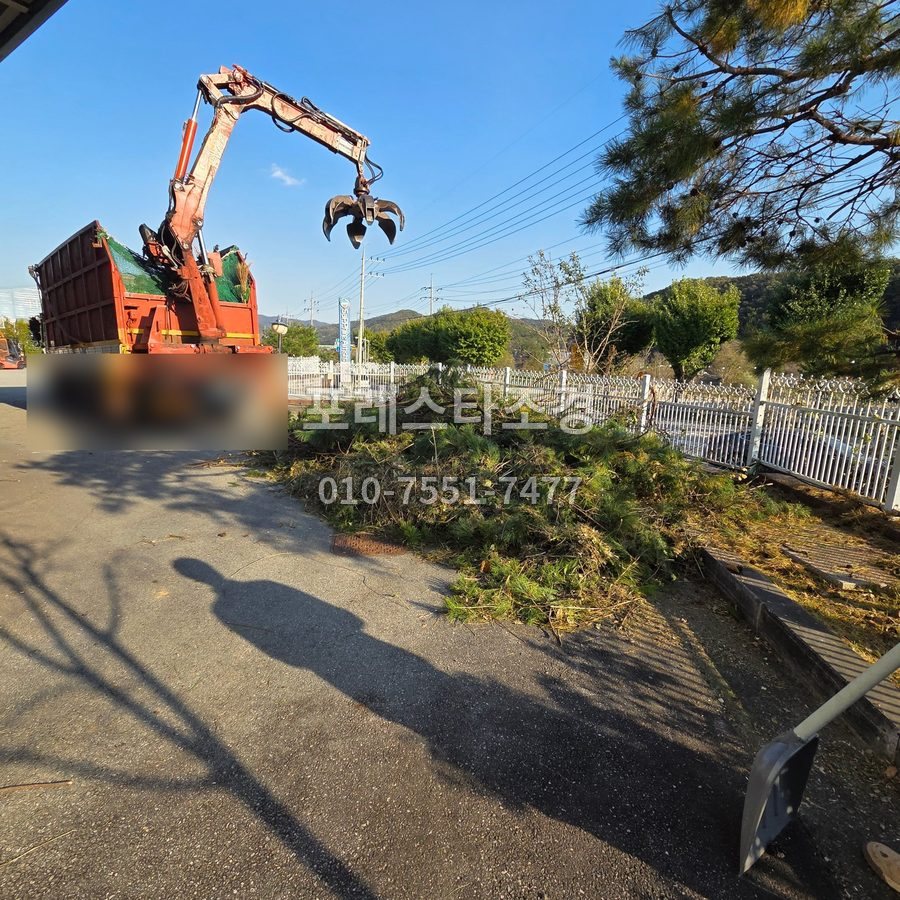 안산 집게차로 잘라낸 가지 운반