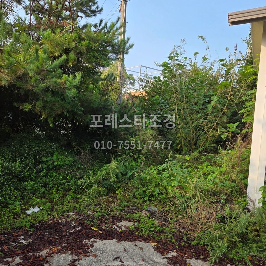 작업 전 덩굴이 뒤덮은 구석