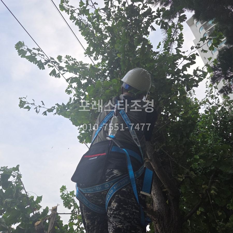 화성 전선 쪽 가지 전지 작업