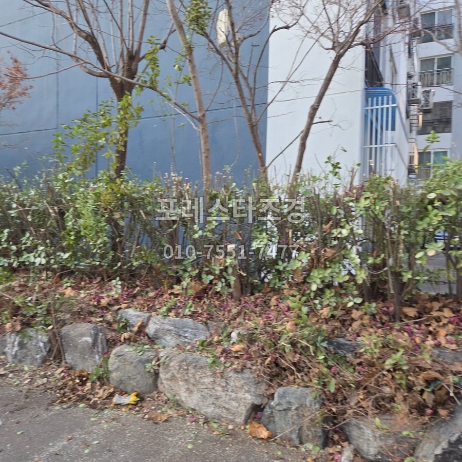 전지를 마친 화단 나무