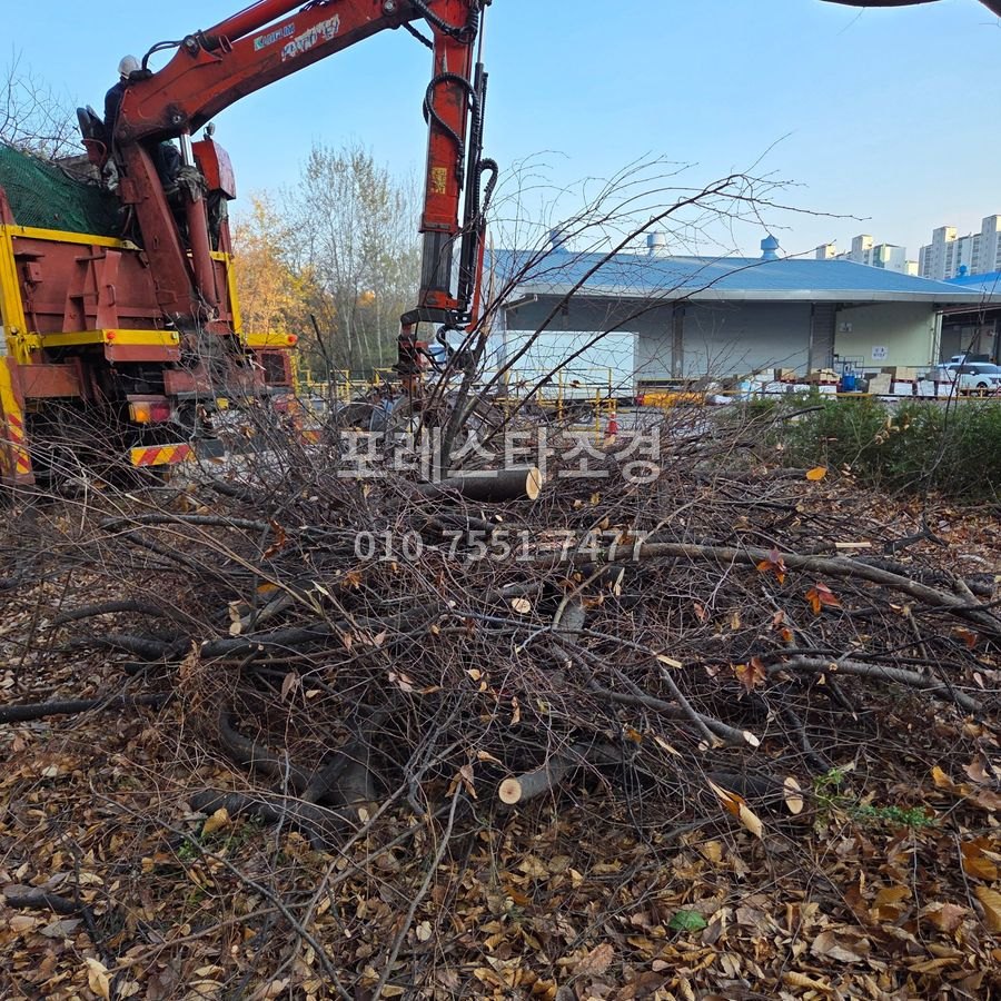 잘라낸 가지를 집게차로 수거