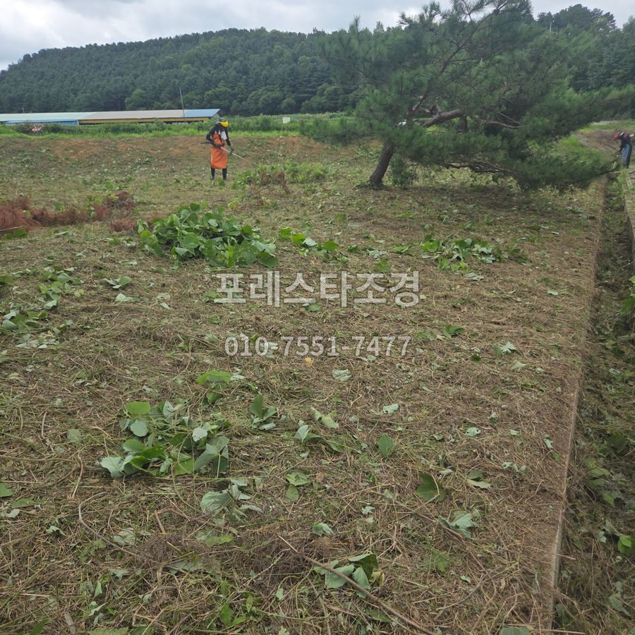 안산 예초기로 부지 풀베기