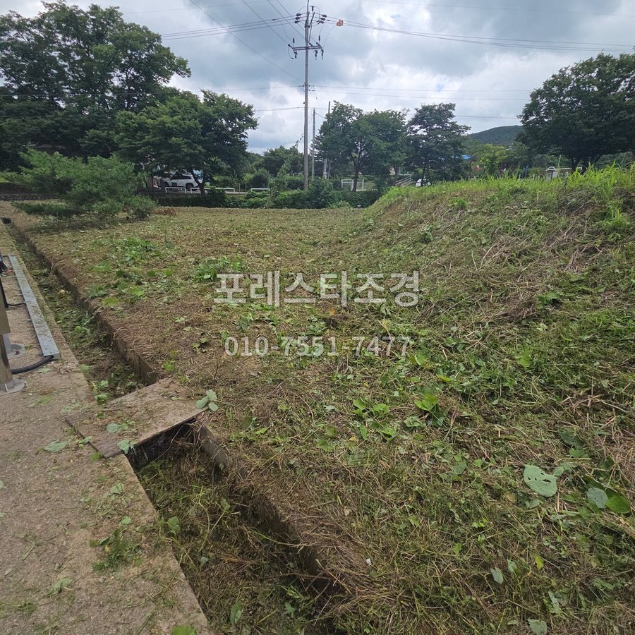 안산 넝쿨 제거 후 정리된 비탈면