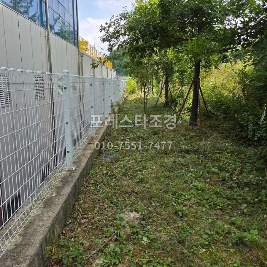 안성 예초 마친 울타리 옆 길